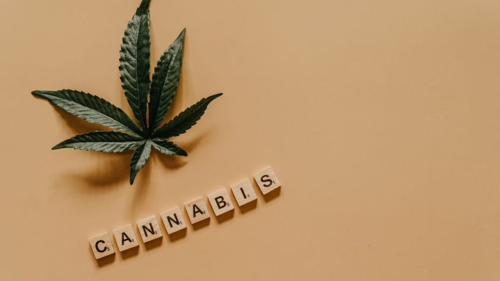 Feuille de cannabis, dépistage du THC