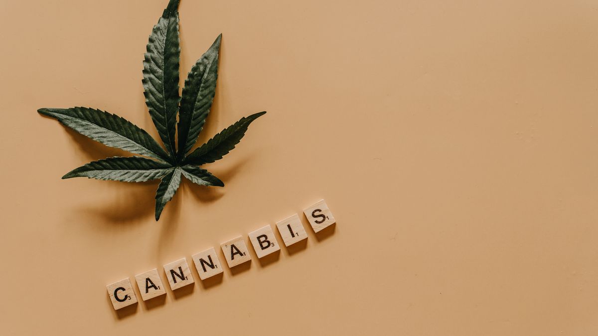 Feuille de cannabis, dépistage du THC